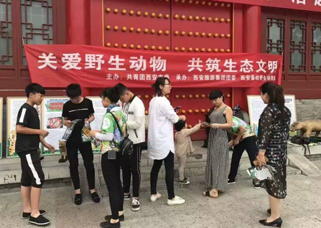 肥西最新干部任免,小巷深处的特色小店,探索未知的味蕾魅力