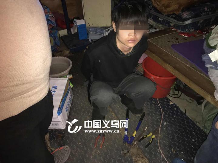 最新义乌厂房出租,市场现状与个人观点