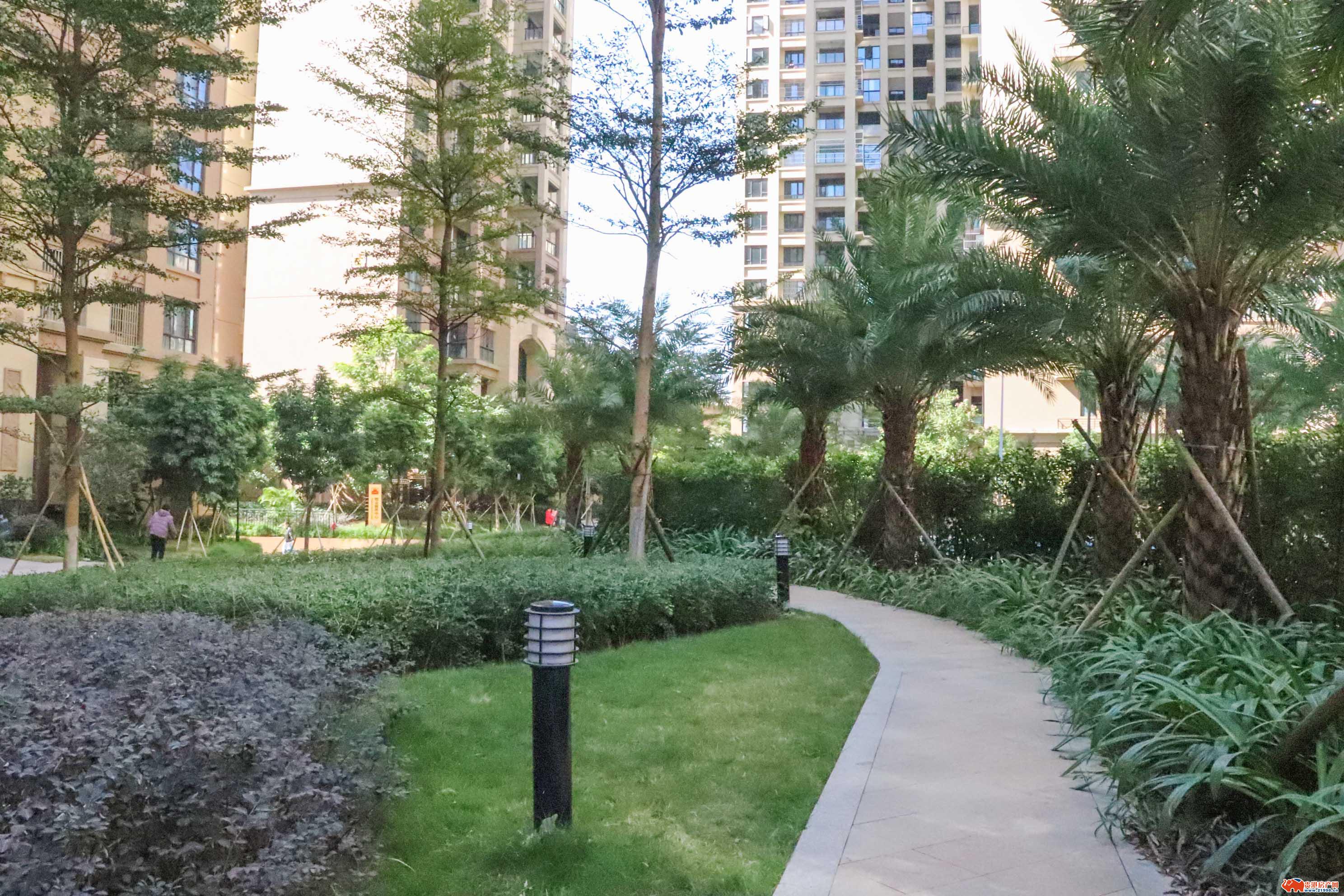 贵港迎宾华府的温馨日常,家的故事与情感纽带