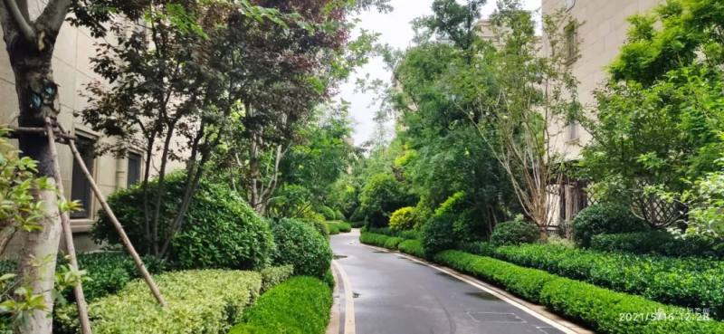 卢洪哲最新综艺,时代的印记与综艺之光