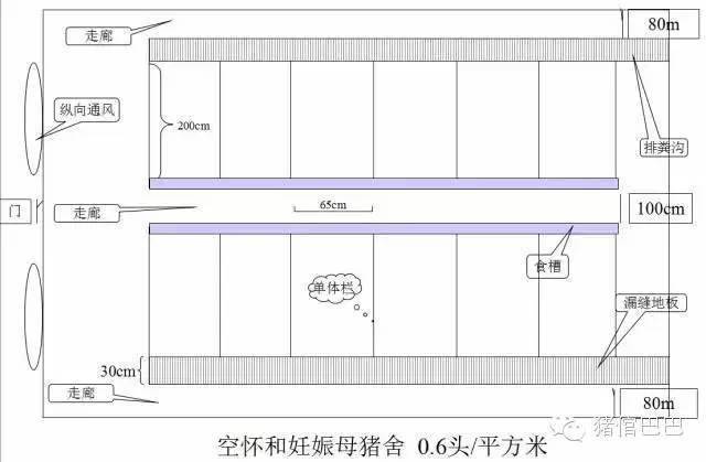 北方最新猪舍建造图,现代养殖业的科技革新与环保理念融合