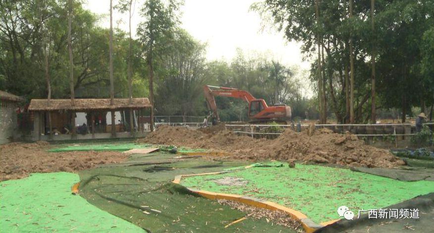 南宁铲车最新招聘,详细步骤指南