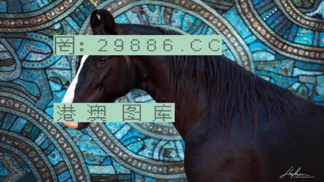 2024特马开码查询,星光级全景拼接_KTA77.842精致生活版