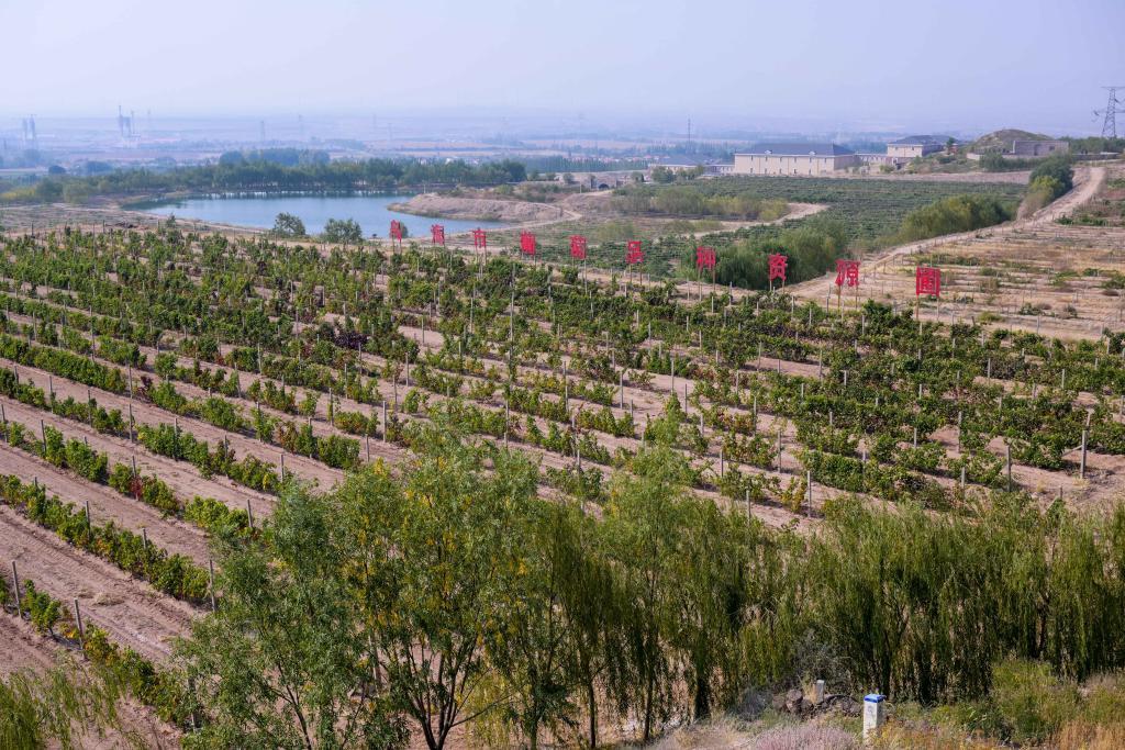 济源会谱最新2016,一场自然美景的探索之旅,启程吧!