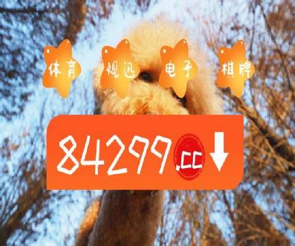 澳门天天彩正版免费挂牌,全身心数据计划_AJI77.741创造力版