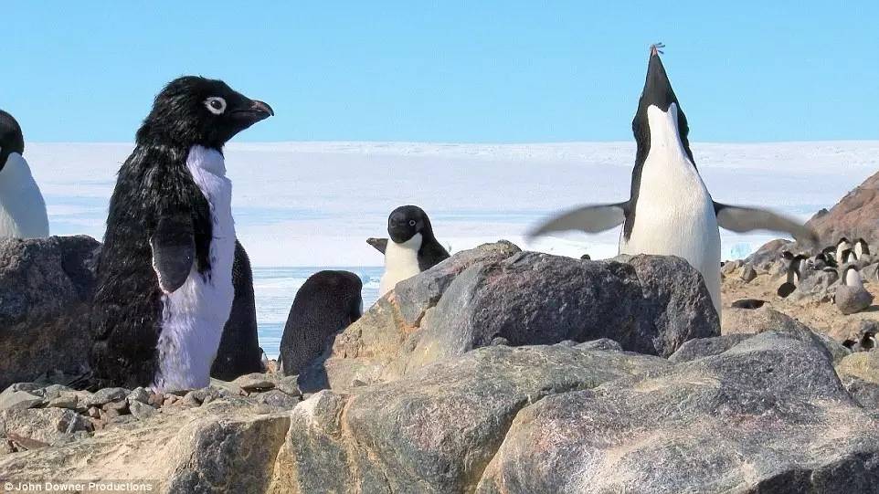 最新人与动物2016,一场探索自然美景的鼓舞人心之旅