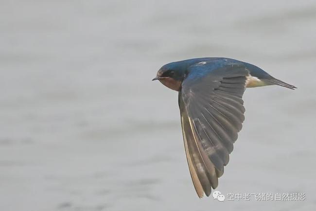 最新上海同志鸟洞,一种文化现象的深度探讨