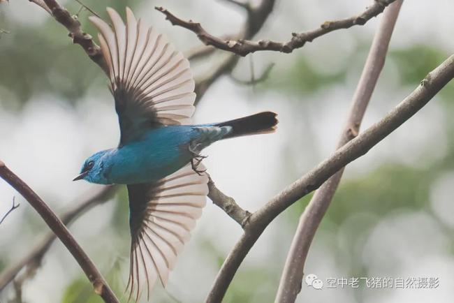 最新上海同志鸟洞,一种文化现象的深度探讨