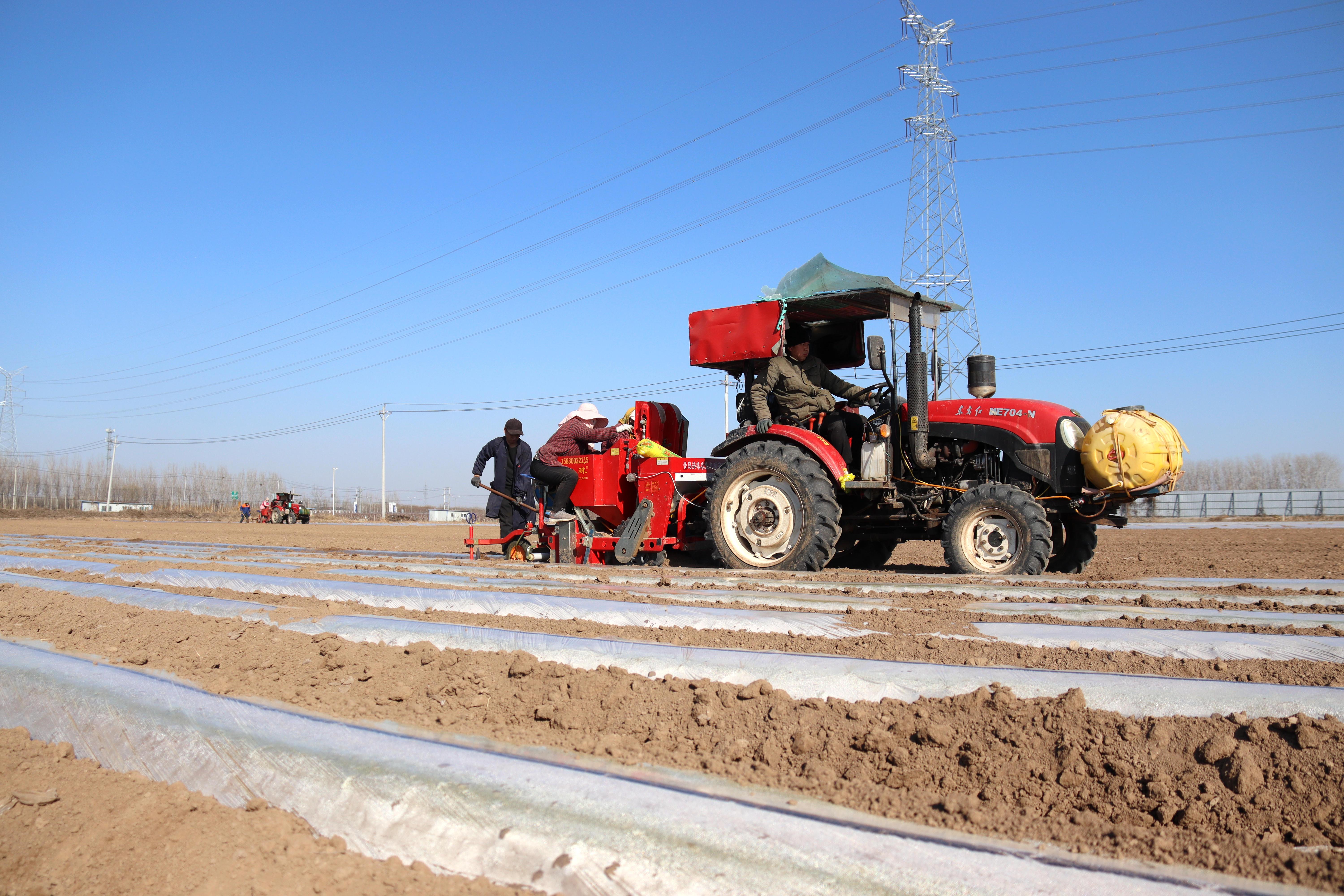 茌平东兴驾校最新报价,时代的印记与变迁