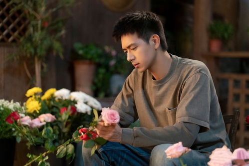 郑爽霍建华再度携手,演绎励志人生,唤醒变化的力量与自信之光