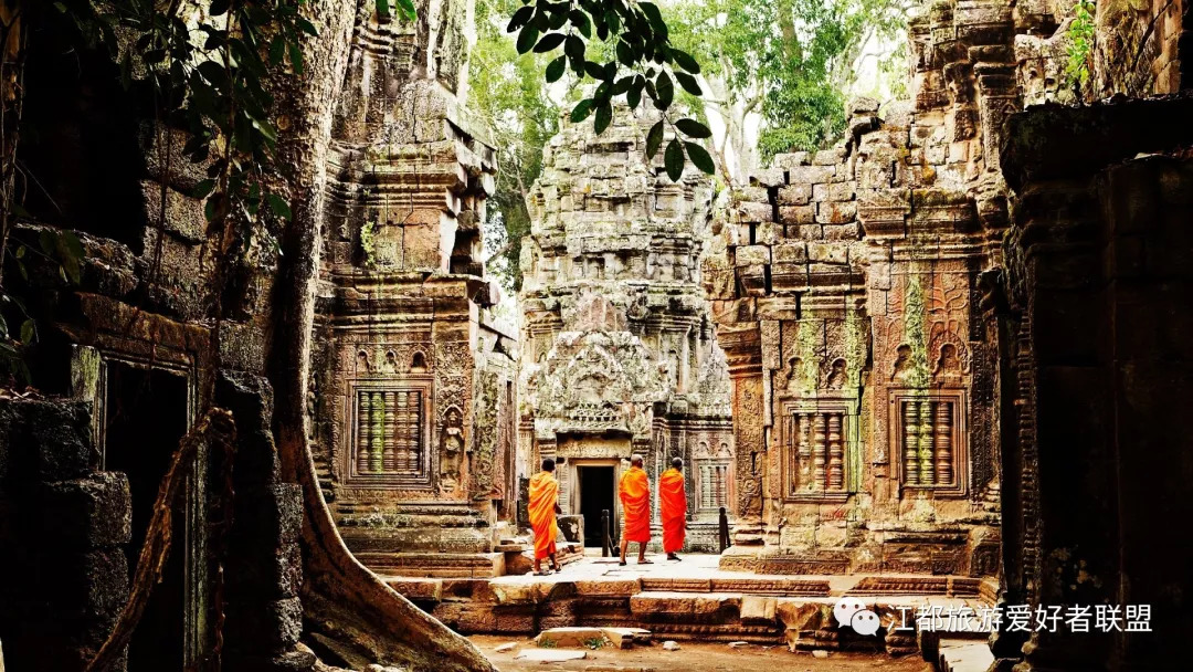 YY大佛最新直播回放,一场自然美景的旅行探索,寻找内心的平和之地