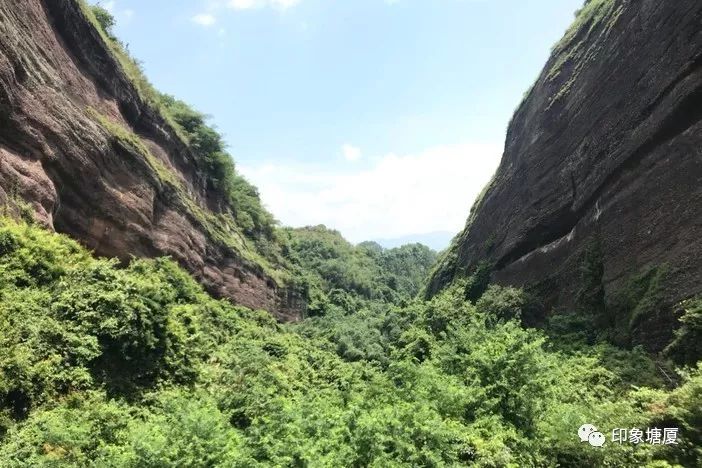 槐米价格最新动态,一场自然美景的旅行探索