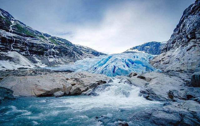 槐米价格最新动态,一场自然美景的旅行探索