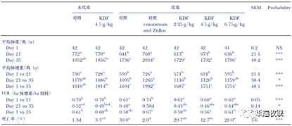 白小姐三肖三码必中生肖,高效性设计规划_AUR34.843供给版