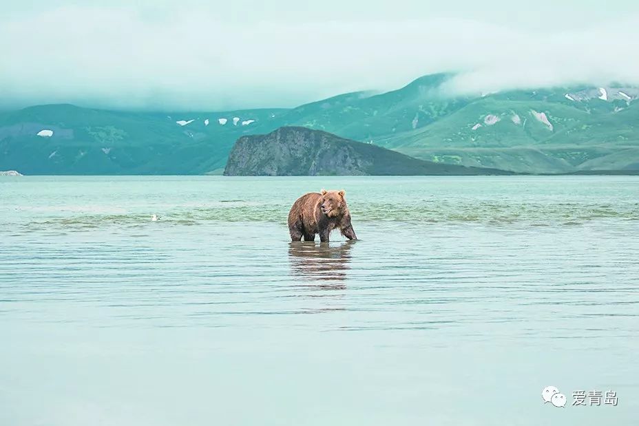 配种员最新招聘,启程,探索自然美景的旅行