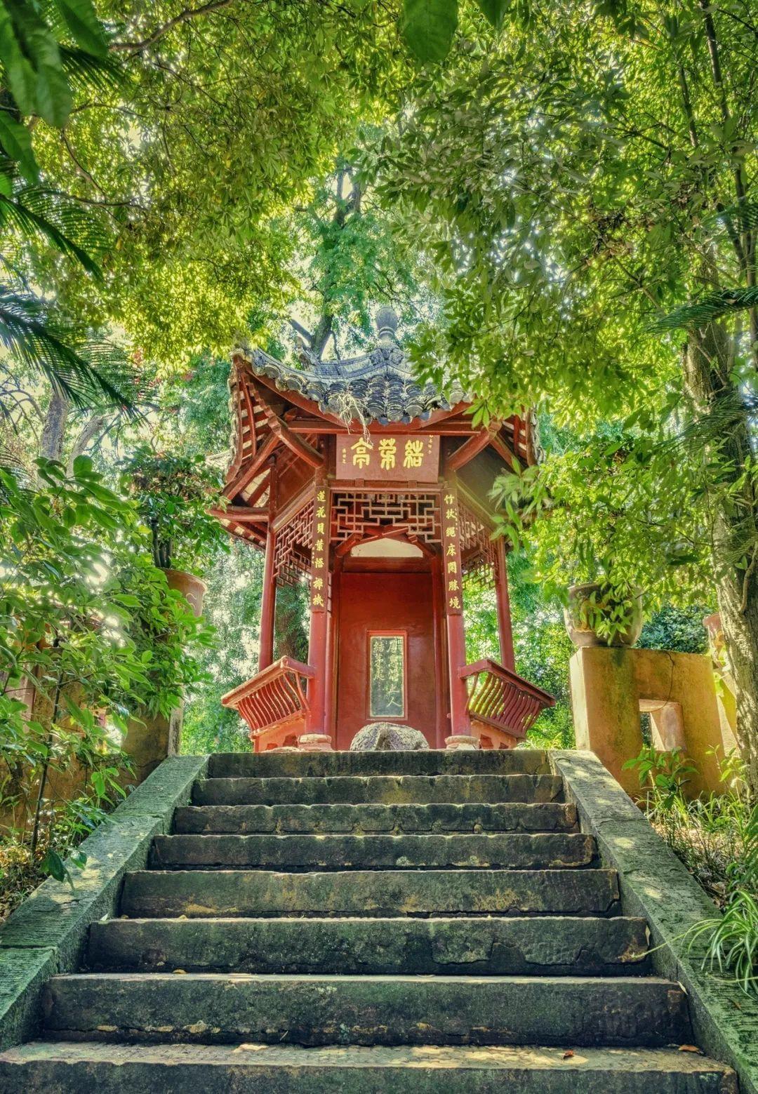 最新产品上市批发,与大自然共舞的奇妙旅程