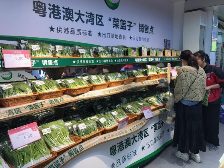 澳门最精准真正最精准,实践方案设计_复刻款62.517