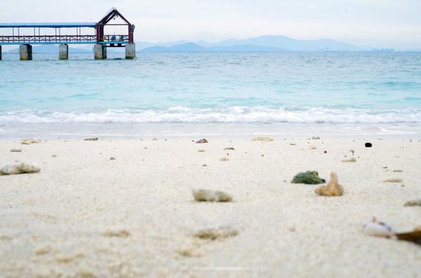 西安放鱼最新信息,一场探索自然美景的旅行,寻找内心的平静