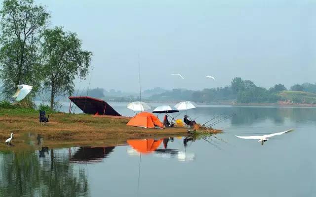 西安放鱼最新信息,一场探索自然美景的旅行,寻找内心的平静