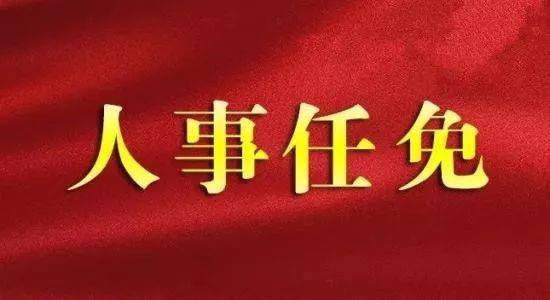 慈利最新人事任免动态,领导团队的崭新布局