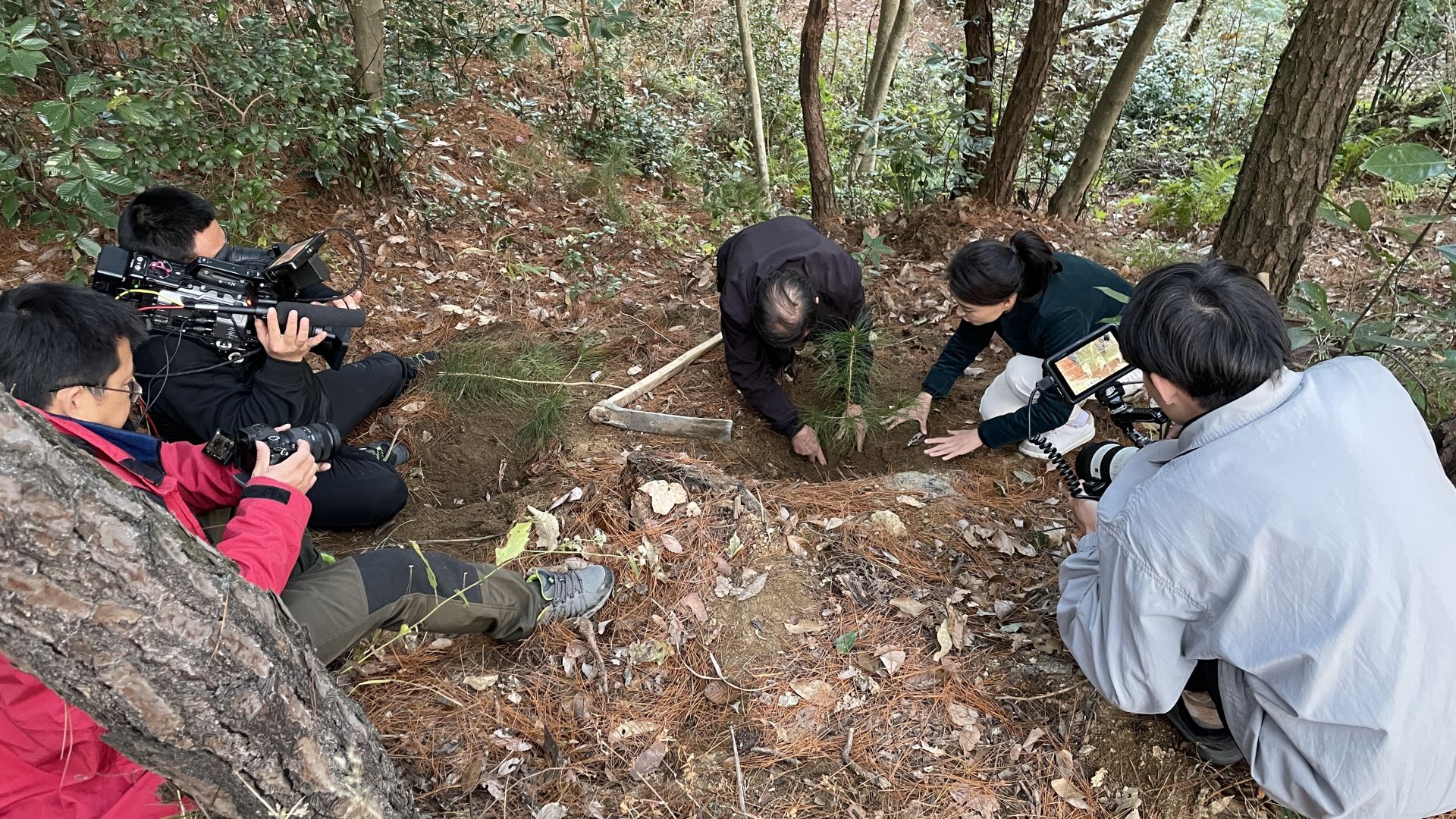 2024年新澳门今晚开奖结果开奖记录,标准化实施评估_桌面款88.749