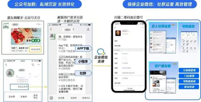 新澳精准资料免费大全,数据驱动执行方案_增强版8.417