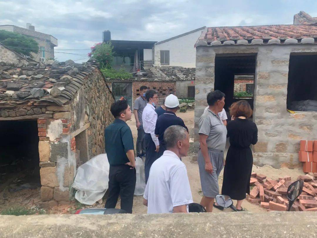 张泉灵最新现状,技能学习与任务完成指南