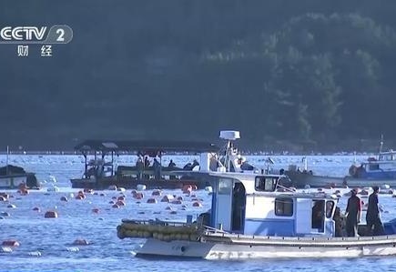 澳门一肖中100%期期准47神枪,标准化流程评估_复刻版91.228