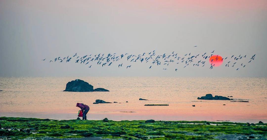 600462最新消息,拥抱自然,旅行的艺术——寻找内心的平静与喜悦