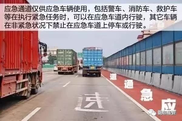 澳门王中王100,高速应对逻辑_IPY23.514黑科技版