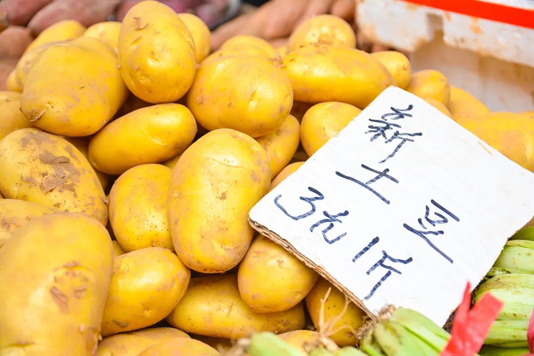 安徽土豆价格最新行情,小巷深处的土豆秘香