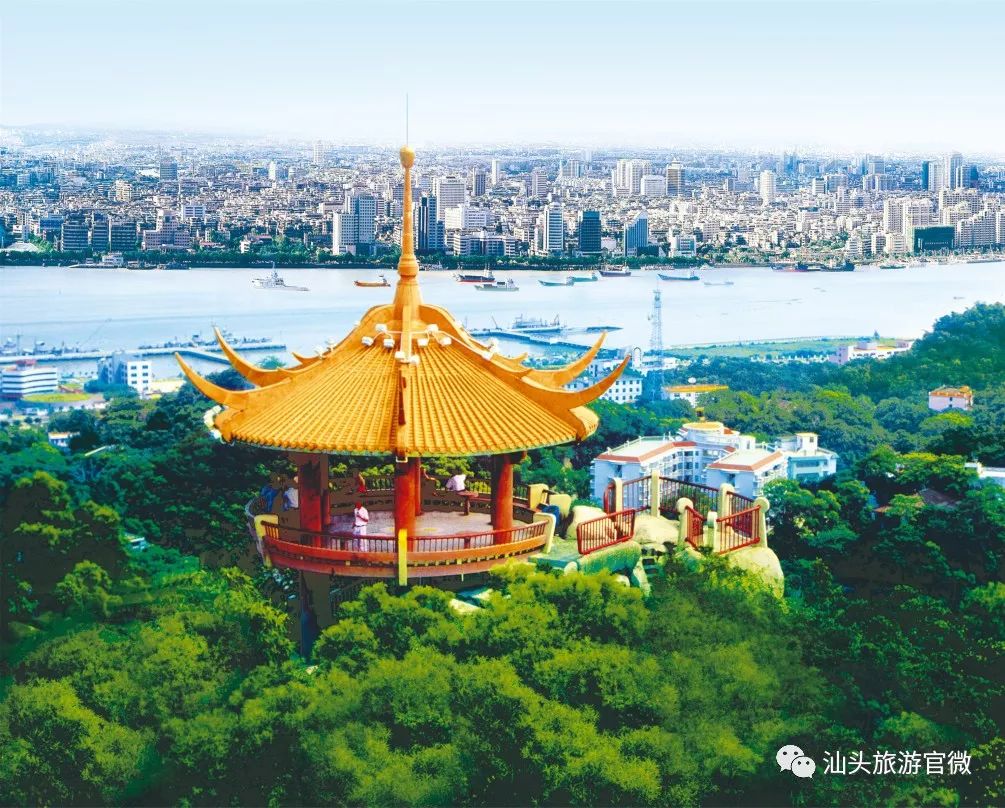 濠江伦坛,案例实证分析_NDL23.310语音版