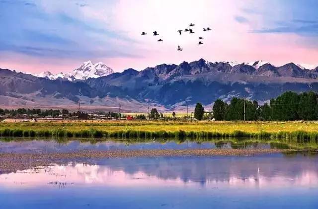 杀鸡取卵 第3页