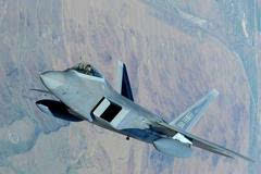 秃鹰打野鸡最新视频,科技前沿的猎奇体验,重新定义生活与自然的交融