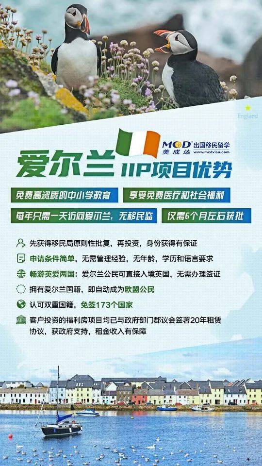 最新的手机墙纸绿色,变化的力量与自信的成就