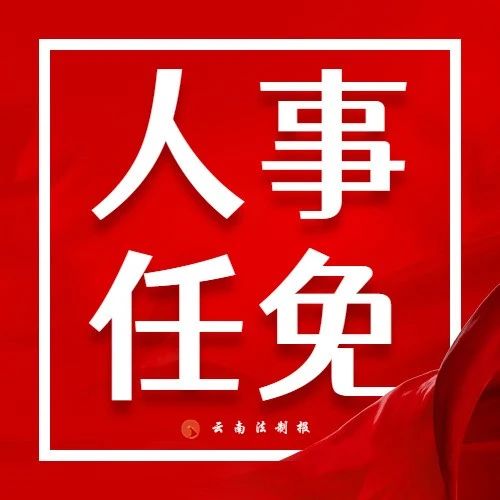 永德最新人事任免指南