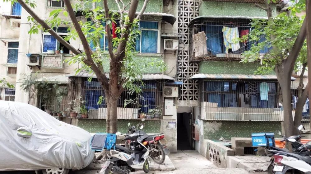 强直国外最新研究突破,小巷深处的特色小店背后的科研之光