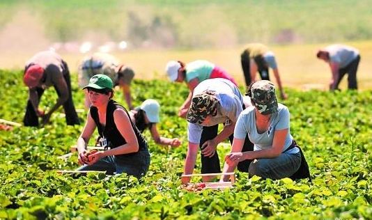 最新农村生意门路,田野上的温情创业故事