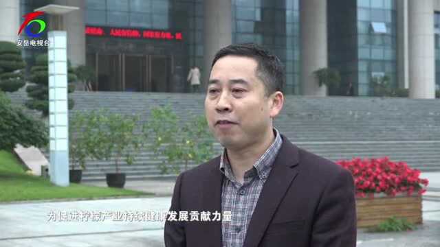 广安梅鑫最新动态,观点阐述与分析