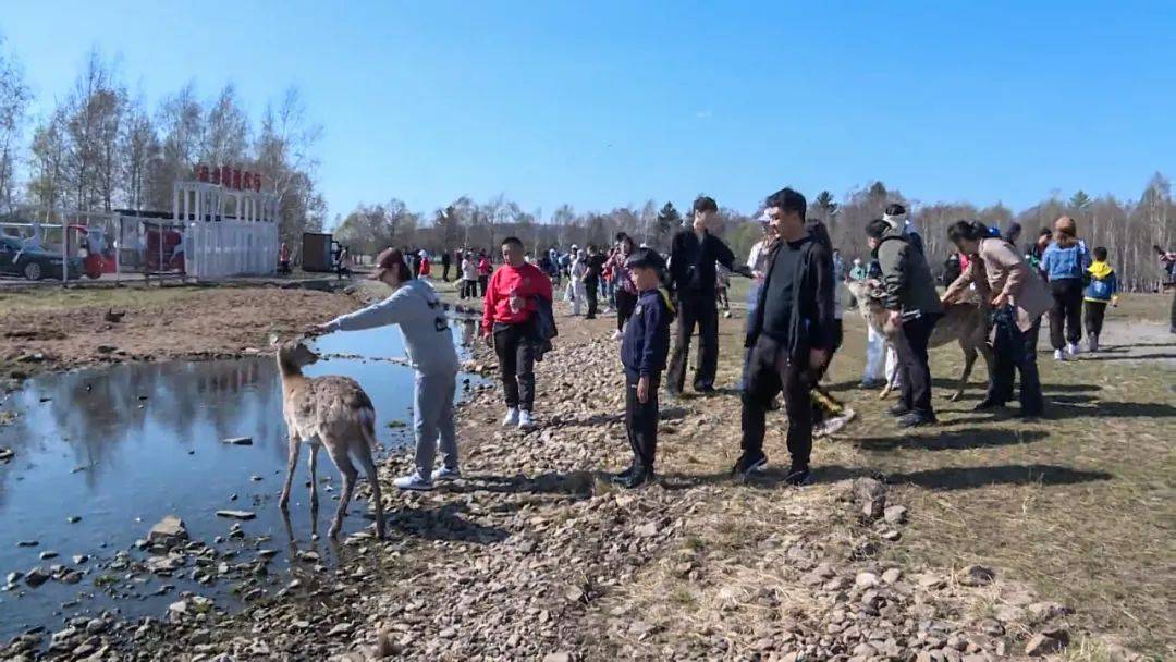 齐齐哈尔最新招聘女工,一场探索自然美景的旅行邀请
