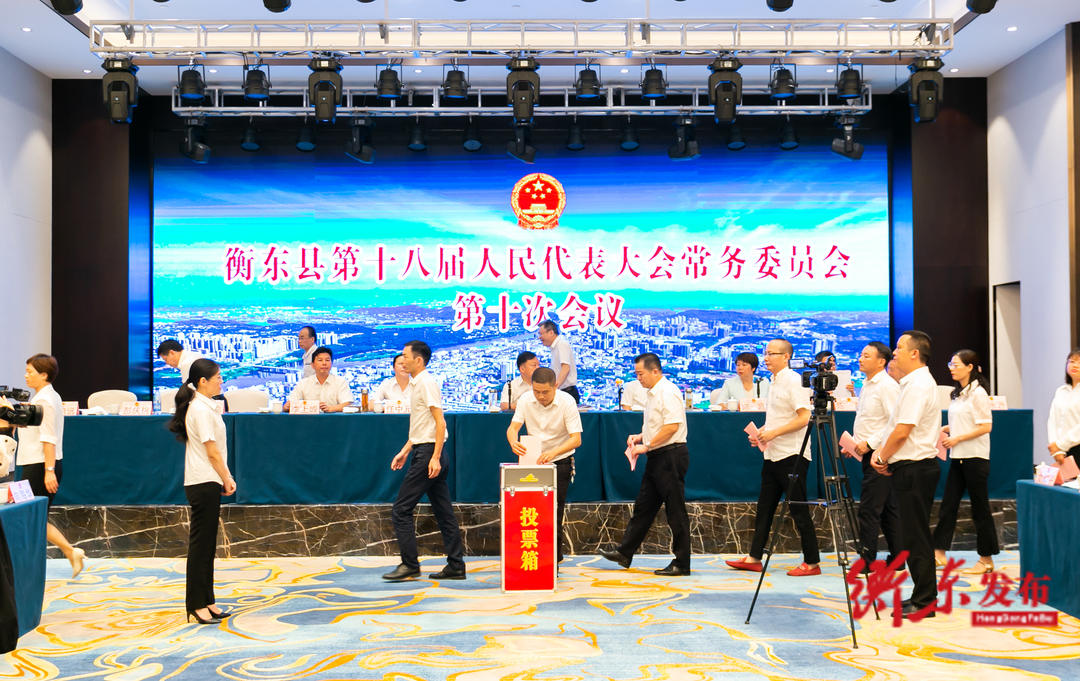 衡东最新人事任免🎉📜