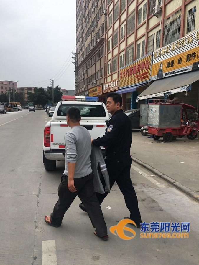 清溪华桂园最新动态,变化中的学习之旅,自信与成就感的源泉