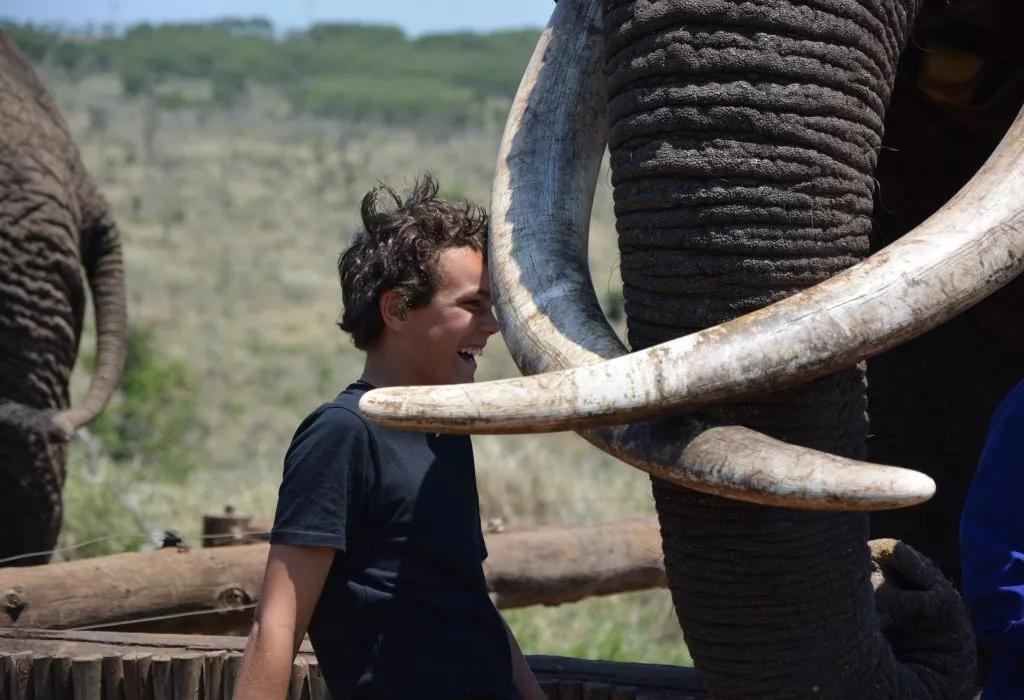 大象最新手机,小巷深处的科技宝藏
