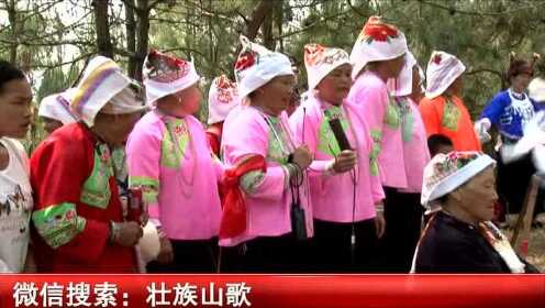 云南广南壮族山歌最新,传承与创新的和谐旋律