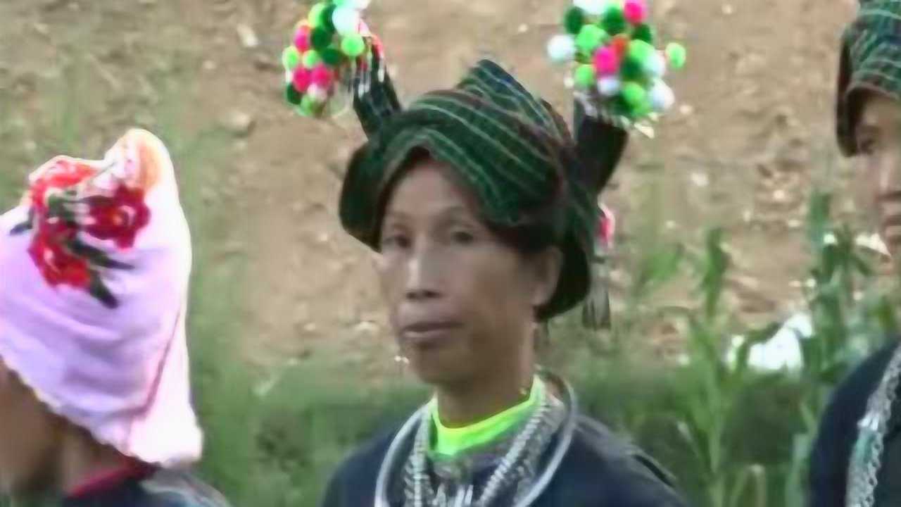 云南广南壮族山歌最新,传承与创新的和谐旋律