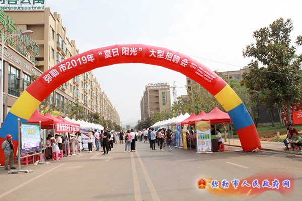 桐乡市的阳光与招聘之旅