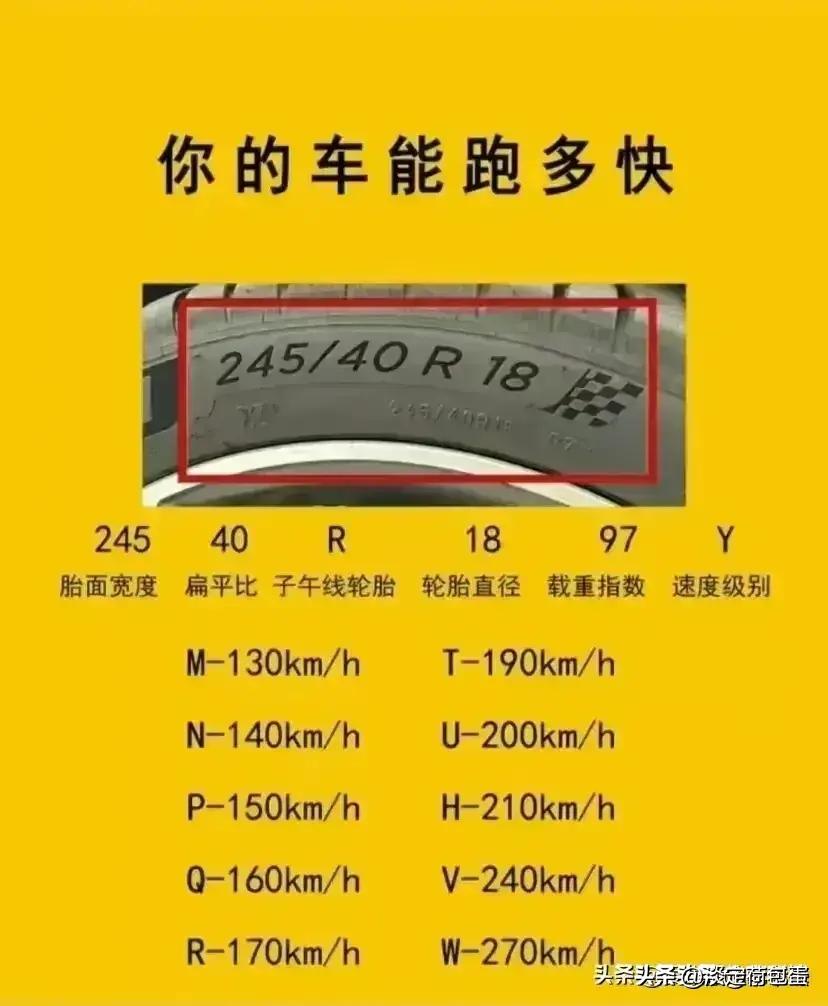 交规2024年最新,一场自然美景的探险之旅