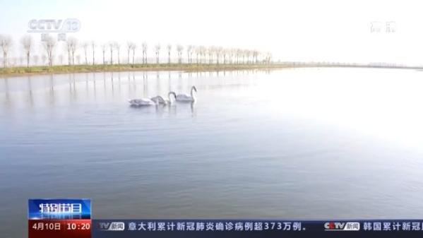 安靖湖最新官方动态