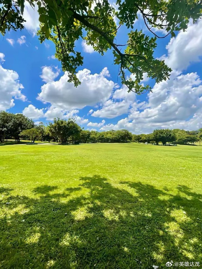 草馏社区最新2024,探索自然美景的旅行,寻找内心的平和