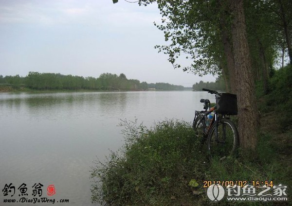 周口沙河最新钓鱼消息，探寻小巷中的垂钓秘境与特色小店